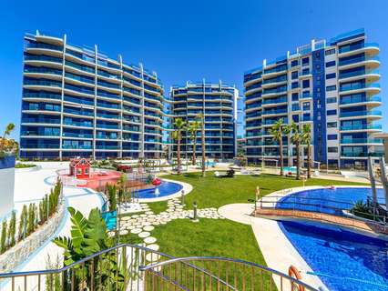 Apartamento en venta en Torrevieja rebajado