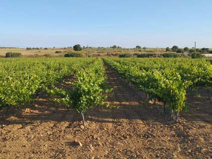 Parcela rústica en venta en Mora