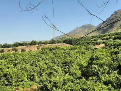 Parcela rústica en venta en Illar