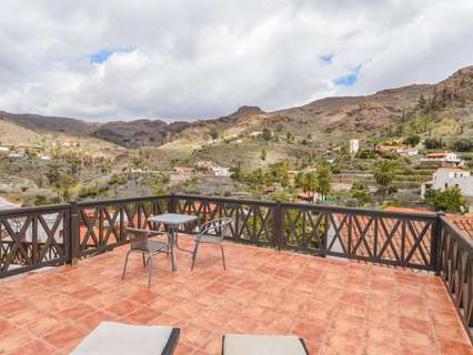 Parcela rústica en venta en San Bartolomé de Tirajana rebajada