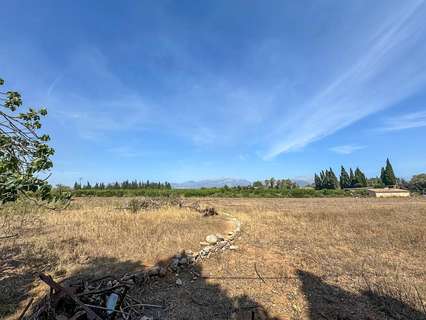 Casa rústica en venta en Llubí rebajada