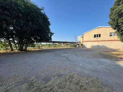 Despacho en alquiler en Inca rebajado