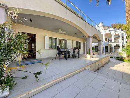 Planta baja en alquiler en Alcúdia