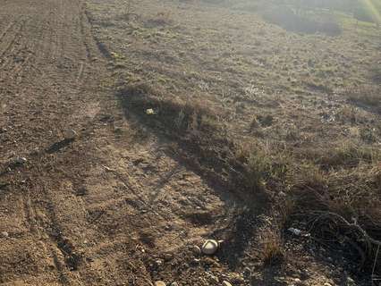 Parcela rústica en venta en San Mateo de Gállego
