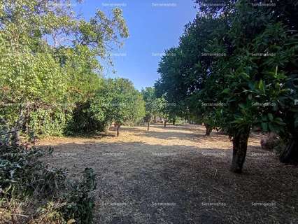 Casa en venta en Alájar zona Alájar