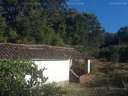 Parcela en venta en Jabugo