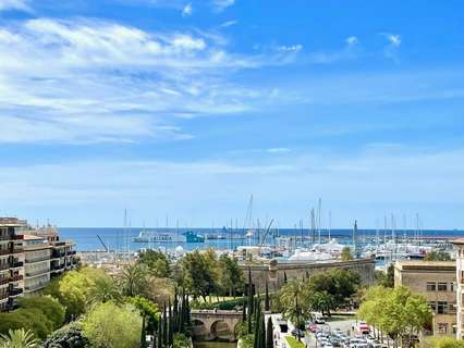 Piso en alquiler en Palma de Mallorca