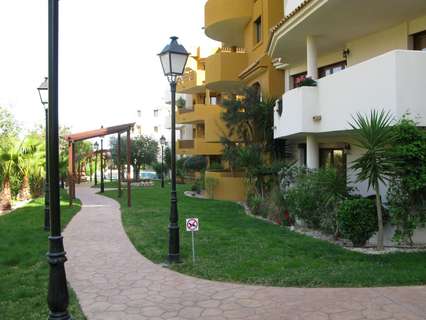 Apartamento en alquiler en Torrevieja