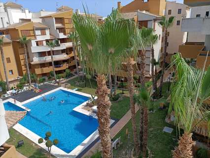 Apartamento en alquiler en Torrevieja