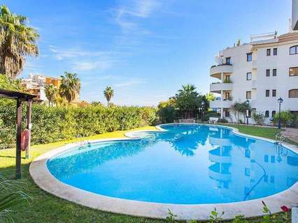 Apartamento en alquiler en Torrevieja