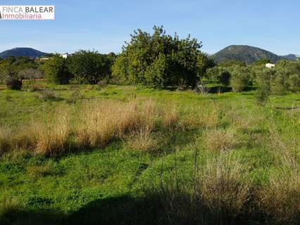 Parcela rústica en venta en Santa María del Camí