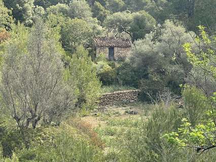 Parcela rústica en venta en Puigpunyent