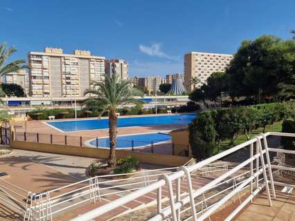 Estudio en venta en Alicante