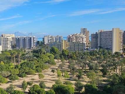 Piso en alquiler en Alicante rebajado