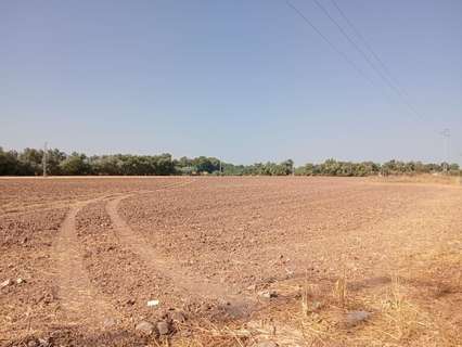 Parcela rústica en venta en Córdoba