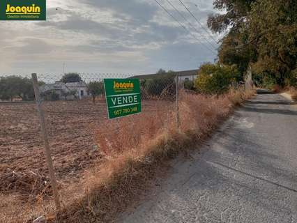 Parcela rústica en venta en Córdoba
