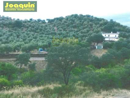 Parcela rústica en venta en Montoro