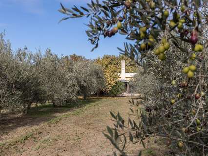 Cortijo en venta en La Zubia