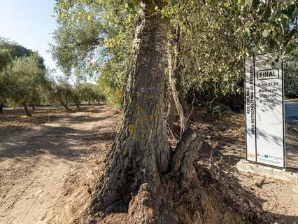 Parcela rústica en venta en Gójar