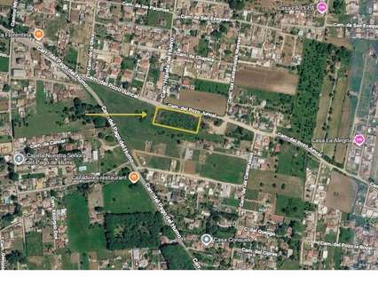 Parcela rústica en venta en Chiclana de la Frontera