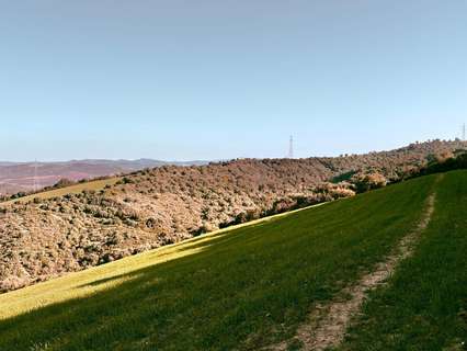 Parcela rústica en venta en Vejer de la Frontera