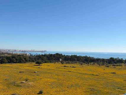 Apartamento en venta en Torrevieja rebajado