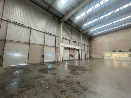 Nave industrial en alquiler en Carmona