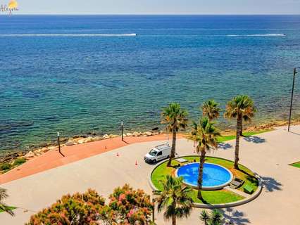 Apartamento en venta en Torrevieja rebajado