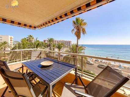 Apartamento en venta en Torrevieja