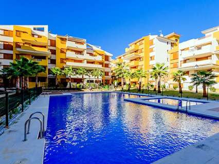 Apartamento en alquiler en Torrevieja