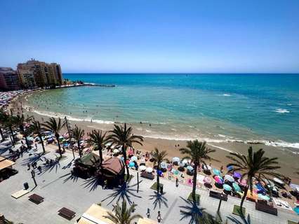 Planta baja en venta en Torrevieja