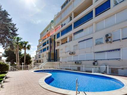 Estudio en venta en Torrevieja rebajado