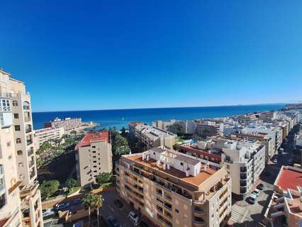 Apartamento en alquiler en Torrevieja