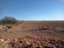 Parcela rústica en venta en Murcia Avileses rebajada