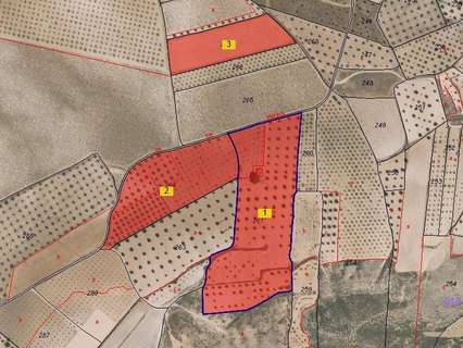 Parcela rústica en venta en Jumilla