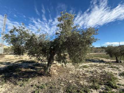 Parcela rústica en venta en Fortuna