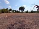 Parcela rústica en venta en Murcia zona Gea Y Truyols