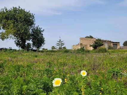 Parcela rústica en venta en Manacor rebajada