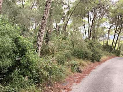 Parcela rústica en venta en Manacor rebajada