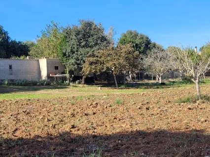 Parcela rústica en venta en Manacor