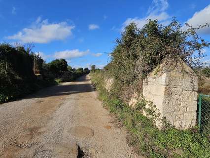 Parcela rústica en venta en Felanitx