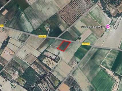 Parcela rústica en venta en Muro