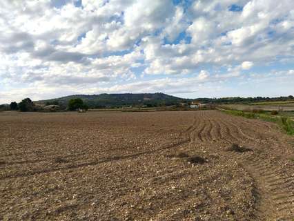 Parcela rústica en venta en Petra