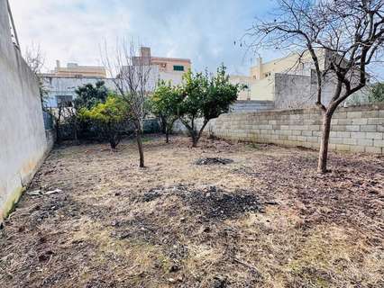 Parcela rústica en venta en Felanitx