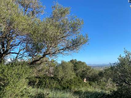 Parcela rústica en venta en Santa Eugènia