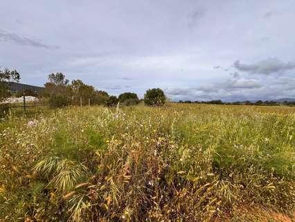 Parcela rústica en venta en Santa Eugènia