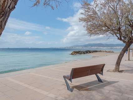 Planta baja en venta en Palma de Mallorca