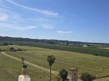Piso en venta en Palma de Mallorca