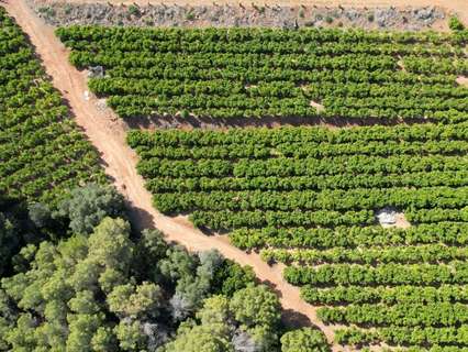 Parcela rústica en venta en Sagunto/Sagunt