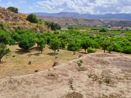 Parcela rústica en venta en Gádor